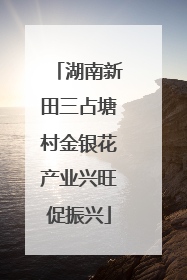 湖南新田三占塘村金银花产业兴旺促振兴