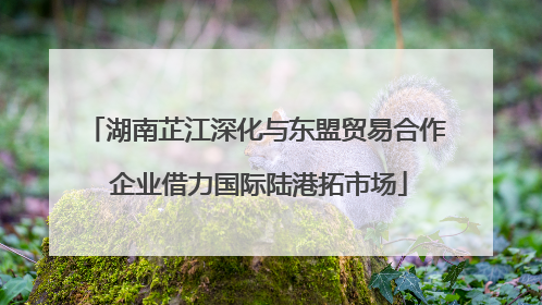 湖南芷江深化与东盟贸易合作 企业借力国际陆港拓市场