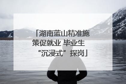 湖南蓝山精准施策促就业 毕业生“沉浸式”探岗
