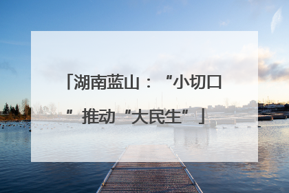 湖南蓝山：“小切口”推动“大民生”