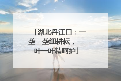 湖北丹江口：一垄一垄细耕耘，一叶一叶精呵护