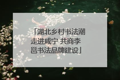 湖北乡村书法潮走进咸宁 共商李邕书法品牌建设
