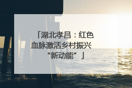 湖北孝昌：红色血脉激活乡村振兴“新动能”