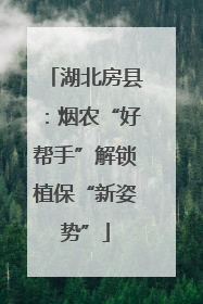 湖北房县：烟农“好帮手”解锁植保“新姿势”