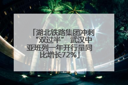 湖北铁路集团冲刺“双过半” 武汉中亚班列一年开行量同比增长72%