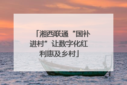 湘西联通“国补进村”让数字化红利惠及乡村