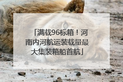 满载96标箱！河南内河航运装载量最大集装箱船首航