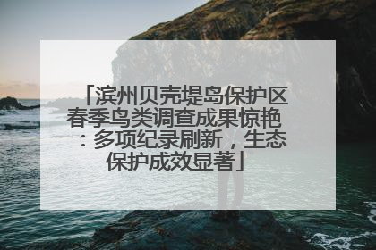 滨州贝壳堤岛保护区春季鸟类调查成果惊艳：多项纪录刷新，生态保护成效显著