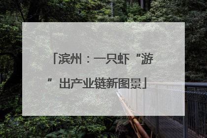 滨州：一只虾“游”出产业链新图景