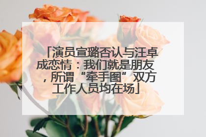 演员宣璐否认与汪卓成恋情：我们就是朋友，所谓“牵手图”双方工作人员均在场