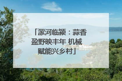 漯河临颍：蒜香盈野映丰年 机械赋能兴乡村
