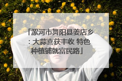 漯河市舞阳县姜店乡：大蒜喜获丰收 特色种植铺就富民路
