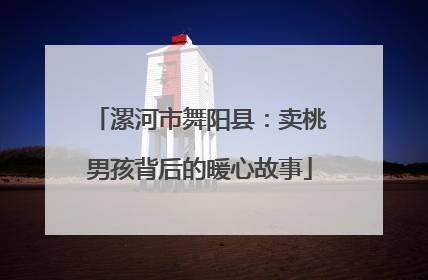 漯河市舞阳县：卖桃男孩背后的暖心故事