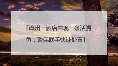 漳州一酒店内现一条活鳄鱼，警民联手快速处置