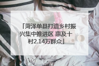 菏泽单县打造乡村振兴集中推进区 惠及十村2.14万群众