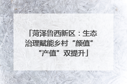 菏泽鲁西新区：生态治理赋能乡村“颜值”“产值”双提升