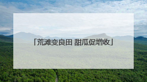 荒滩变良田 甜瓜促增收