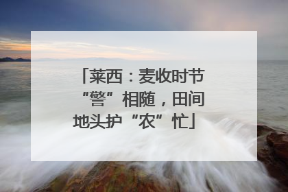 莱西：麦收时节“警”相随，田间地头护“农”忙