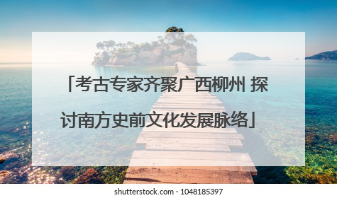 考古专家齐聚广西柳州 探讨南方史前文化发展脉络