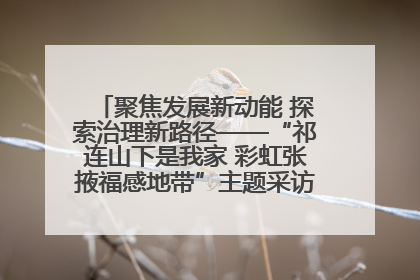 聚焦发展新动能 探索治理新路径——“祁连山下是我家 彩虹张掖福感地带”主题采访活动走进山丹