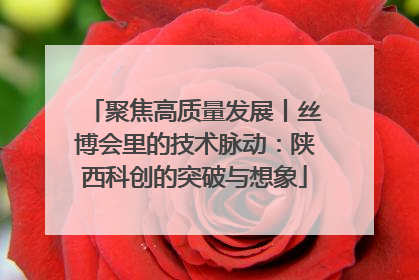 聚焦高质量发展丨丝博会里的技术脉动：陕西科创的突破与想象