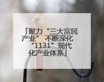聚力“三大富民产业” 不断深化“1131”现代化产业体系