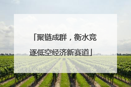 聚链成群，衡水竞逐低空经济新赛道