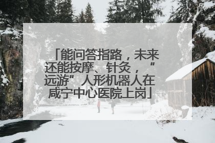 能问答指路，未来还能按摩、针灸，“远游”人形机器人在咸宁中心医院上岗