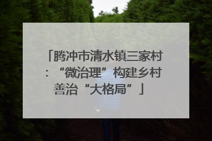 腾冲市清水镇三家村：“微治理”构建乡村善治“大格局”