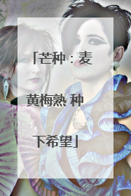 芒种：麦黄梅熟 种下希望