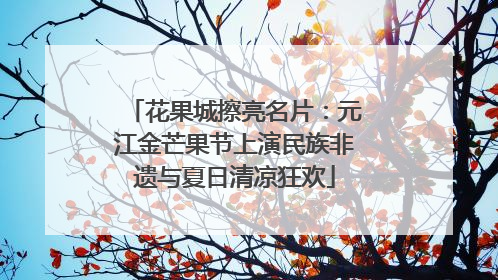 花果城擦亮名片：元江金芒果节上演民族非遗与夏日清凉狂欢