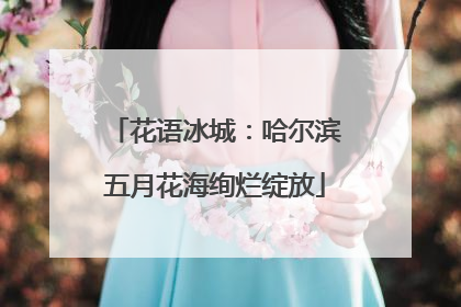 花语冰城：哈尔滨五月花海绚烂绽放