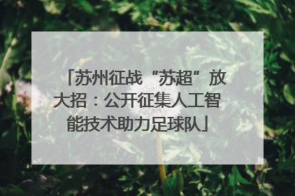 苏州征战“苏超”放大招：公开征集人工智能技术助力足球队