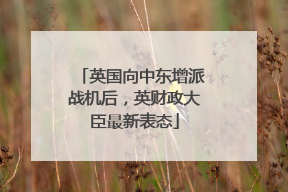 英国向中东增派战机后，英财政大臣最新表态