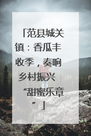 范县城关镇：香瓜丰收季，奏响乡村振兴 “甜蜜乐章”