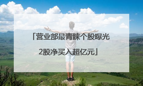 营业部最青睐个股曝光 2股净买入超亿元