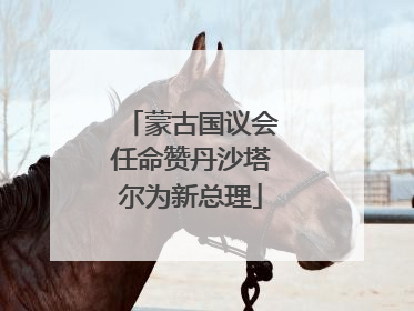 蒙古国议会任命赞丹沙塔尔为新总理