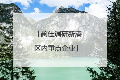 蔺佳调研新港区内重点企业