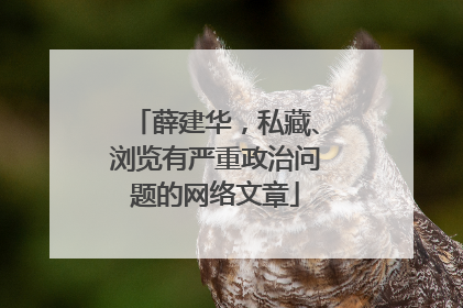 薛建华，私藏、浏览有严重政治问题的网络文章