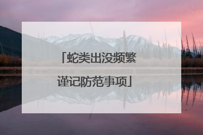 蛇类出没频繁 谨记防范事项
