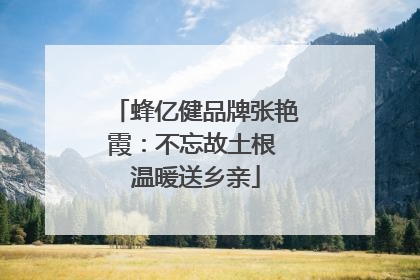 蜂亿健品牌张艳霞：不忘故土根 温暖送乡亲