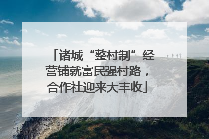 诸城“整村制”经营铺就富民强村路，合作社迎来大丰收