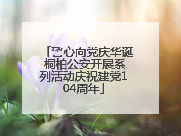 警心向党庆华诞 桐柏公安开展系列活动庆祝建党104周年