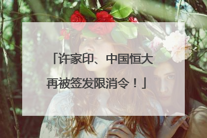 许家印、中国恒大再被签发限消令！