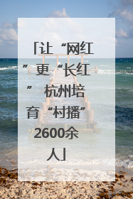让“网红”更“长红” 杭州培育“村播”2600余人