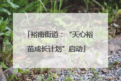 裕南街道：“天心裕苗成长计划”启动