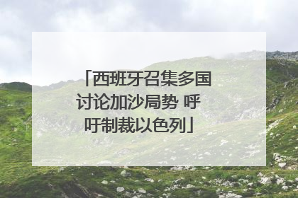 西班牙召集多国讨论加沙局势 呼吁制裁以色列
