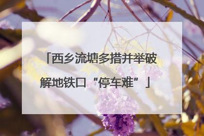 西乡流塘多措并举破解地铁口“停车难”