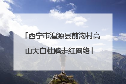 西宁市湟源县前沟村高山大白杜鹃走红网络