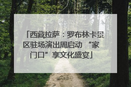 西藏拉萨：罗布林卡景区驻场演出周启动 “家门口”享文化盛宴